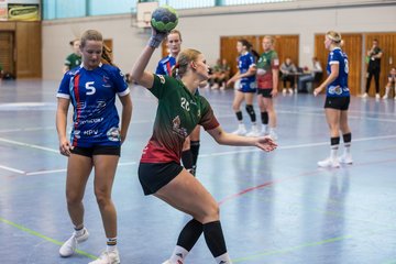 Bild 261 - F HSG Kremperheide/Muensterdorf - HSG Holstein Kiel/Kronshagen : Ergebnis: 31:26